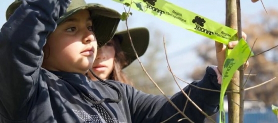 JORNADA DE ARBORIZACIÓN.