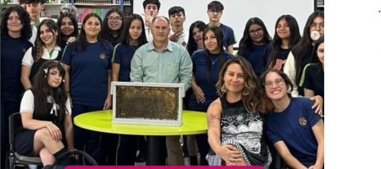 ELECTIVO DE DISEÑO Y ARQUITECTURA