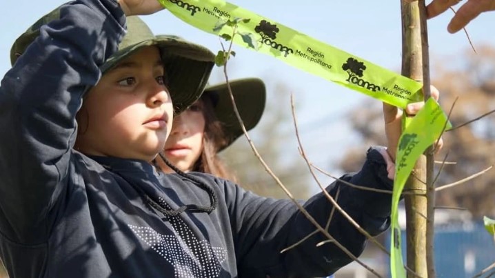 JORNADA DE ARBORIZACIÓN.